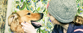 Chicago Anti-Cruelty Society's Bark In The Park